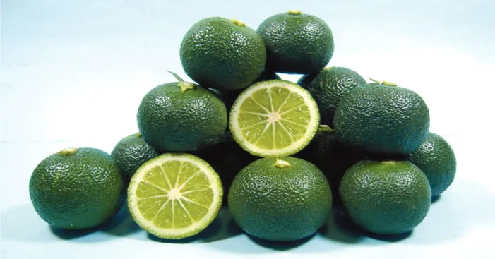 types-of-lemon-sudachi