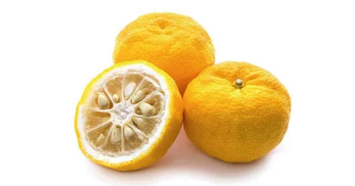 types-of-lemon-yuzu
