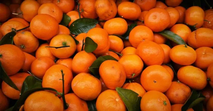 types-of-mandarin-oranges