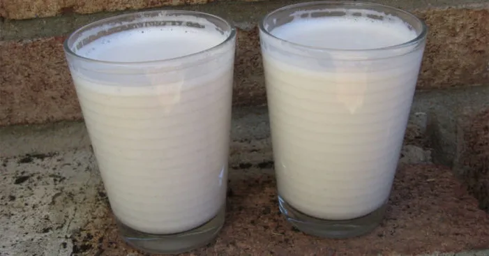 uses-of-pecan-milk
